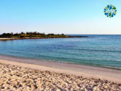 Porto Cesareo